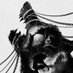 Dämmerwolf (@daemmerwolf) Twitter profile photo Dämmerwolf (@daemmerwolf) Twitter profile photo