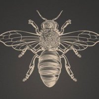 TeddBee (@_teddbee) 's Twitter Profile