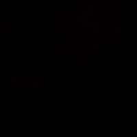 Fernando (@feernando725) 's Twitter Profile