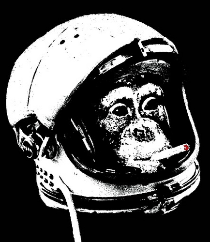 thechinacat's profile picture. 