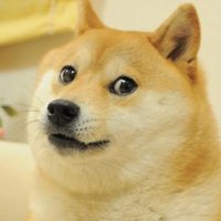 doge2.0 (@081f1d2) 's Twitter Profile Photo doge2.0 (@081f1d2) 's Twitter Profile Photo