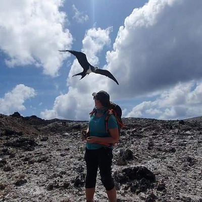 Seabird Scientist/Coastal Reserves Manager/Island Councillor on Ascension Island. Views my own. 🏴󠁧󠁢󠁳󠁣󠁴󠁿🇦🇨