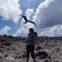 Laura Shearer (@limpetlaura) 's Twitter Profile