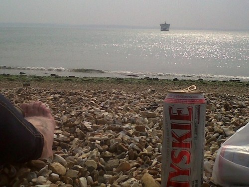 Flying_SnowBird's profile picture. 