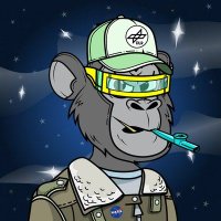 Ayron (@nftxnoob13) 's Twitter Profile