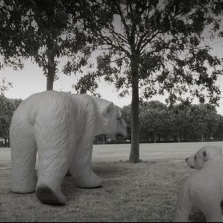 volvolpapa's profile picture. DFLHS5CHI, SNU BA 91, Consultant, Doosan Bears