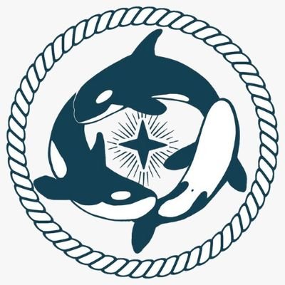 🌊 Help lend your voice to save our Orcas, save our seas with Wave Warriors #NFTs 🐳 Supporting the Salish Center for Sustainable Fishing Methods in WA 🐟