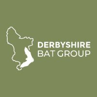 Derbyshire Bat Group(@derbyshirebats) 's Twitter Profileg