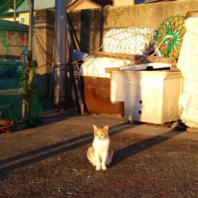 空さんのプロフィール画像