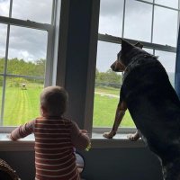 Talmadge Flinchum (@tmflinchum) 's Twitter Profile Photo Talmadge Flinchum (@tmflinchum) 's Twitter Profile Photo