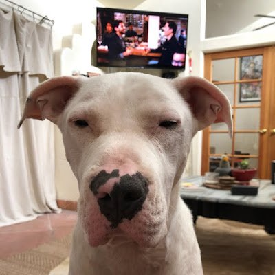 eps_ic's profile picture. I have fun, sorry if it makes me look bad. I’m autistic and I have fun. that’s twice I said fun. so pretty sure I’m not a bot. I think?