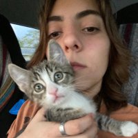 Hailey Cohen (@haileycohen22) 's Twitter Profile