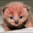 duncanbudd's profile image