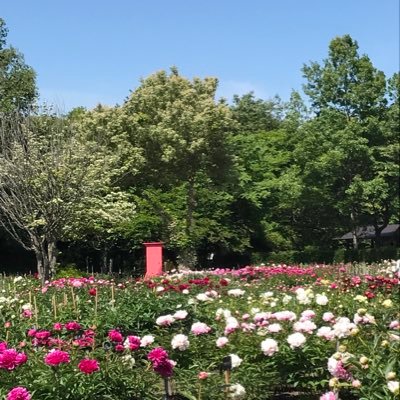 carnemuri's profile picture. 2022.10にソロキャンデビュー。2025は感謝の心を持って、明るく歩み進めたい。 雑多なポスト多し。無言フォロー失礼します(ㅅ˙ ˘ ˙ )