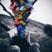 El Twirista 👽 (@twiristaah) 's Twitter Profile Photo El Twirista 👽 (@twiristaah) 's Twitter Profile Photo