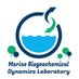 Marine Biogeochemical Dynamics Lab (@bthib_ocean) Twitter profile photo