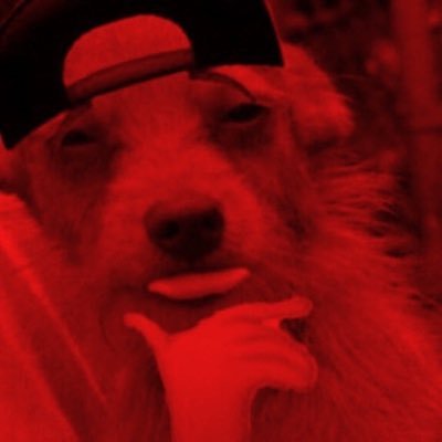 RIP Lemmy 🐶👼 | TTU | Man of God (believe in the power of prayer) | Praying on UT (Sark is back on the bottle) 🍸🤡 & Pete Nakos (SEC cuck) downfall 🙏