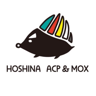 hoshina_hari Profile Picture