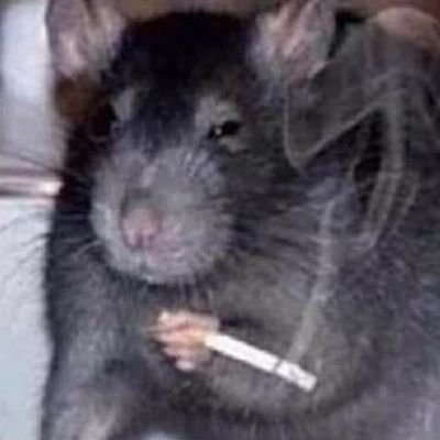 eu vou ter que aprender a usar o twitter igual gente
https://t.co/5ye11A4YgA
