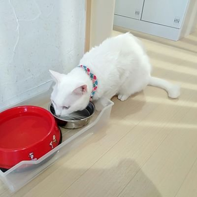 YzESUTTRAHfR61W's profile picture. 1996/らぶ➡️BTS、名探偵コナン、エヴァンゲリオン。趣味は食べること、寝ること、アニメ、パチンコ、映画。ほぼ食べ物かパチンコ系呟いてます。