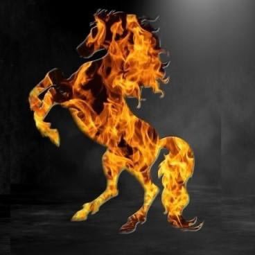 FireStallion666 Profile Picture