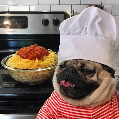 PughettiVA's profile picture. I’m a huge nerd. And a voice actor. Also English, that’s very important. VA on @MataNuiRising , @AdrenalineDubs and @SonicAlter 💙@jeaniecat2006