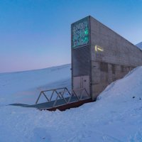 Svalbard Seed Vault(@GlobalSeedVault) 's Twitter Profile Photo