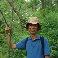 강덕희 (@nogosimo) 's Twitter Profile