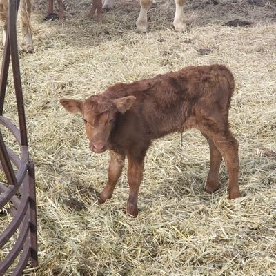 CurtisWass's profile picture. 