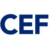 CEF(@CEFNI1) 's Twitter Profileg