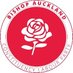 Bishop Auckland Constituency Labour Party (@Bishop4Labour) Twitter profile photo