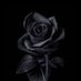 Cryp corp (@cryp_corp) Twitter profile photo Cryp corp (@cryp_corp) Twitter profile photo