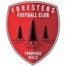 TW Foresters FC (@twforesters) Twitter profile photo