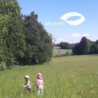 Bromley Parks (@idverde_bromley) 's Twitter Profile