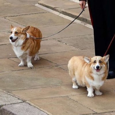 BalukaPetra's profile picture. 