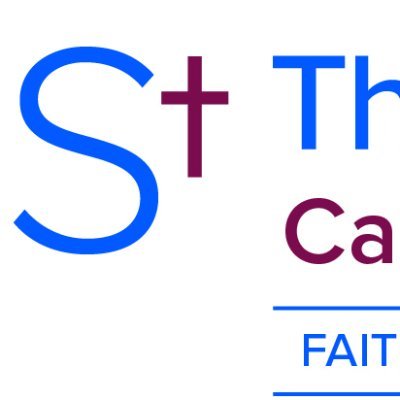 We are a Catholic 11-18 academy of over 1000 students which is part of the All Saints Catholic Collegiate. Motto: Aspire to be more.