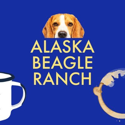 A nonprofit 501 (c) 3 that is helping Alaska’s homeless, neglected and abused beagles find a happy home.