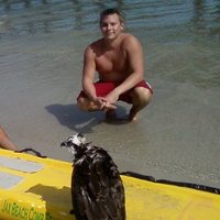 Jesse the Bodhi (@bodhiyogitree) 's Twitter Profile