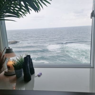 jinonedo's profile picture. 