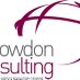 Bowdon Consulting (@bowdonconsult) Twitter profile photo