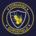 Gorsefield Primary School (@Gorsefield) Twitter profile photo