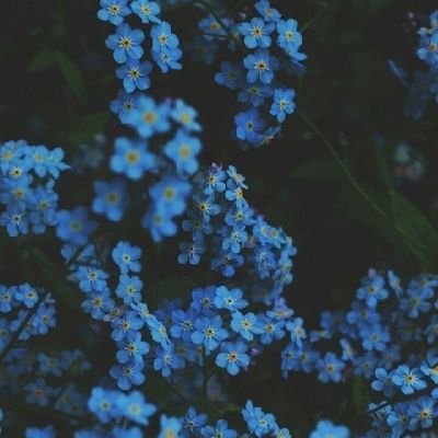 MuttenJoan's profile picture. 