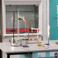 Science at Cedars (@scienceatcedars) 's Twitter Profile