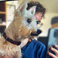 Andy Kinsey (@andykinsey) 's Twitter Profile Photo