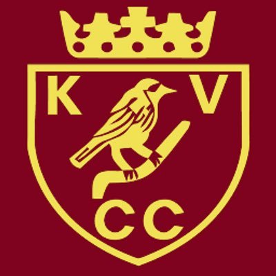 Knowle Village CC