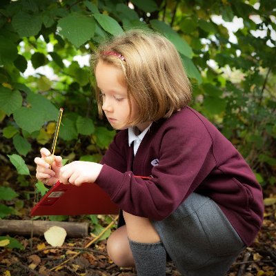 StCharlesPrimNE's profile picture. 