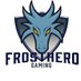 FrostHero Owner (@FrostheroGaming) Twitter profile photo