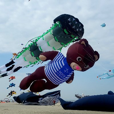 Compte officiel des Rencontres Internationales de Cerfs-Volants de Berck-sur-Mer #CerfsVolants #Berck #RICV rendez-vous du 15 au 23 avril 2023.