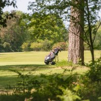 Moors Valley Golf Course (@moorsvalleygolf) Twitter profile photo