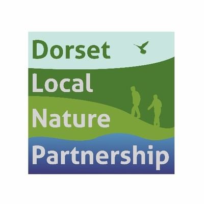 The Local Nature Partnership for Dorset (covering BCP and Dorset council areas. Protecting and enhancing our natural assets for people, wildlife and businesses.